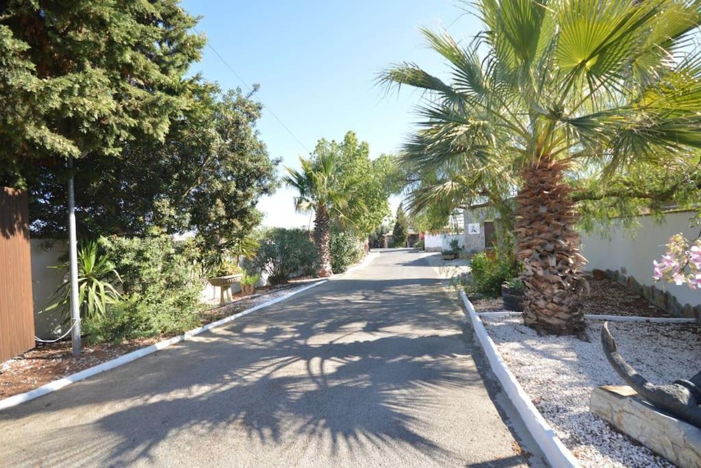 Ferienhaus Casas Paqui Y Pablo Con Piscina Compartida En Conil